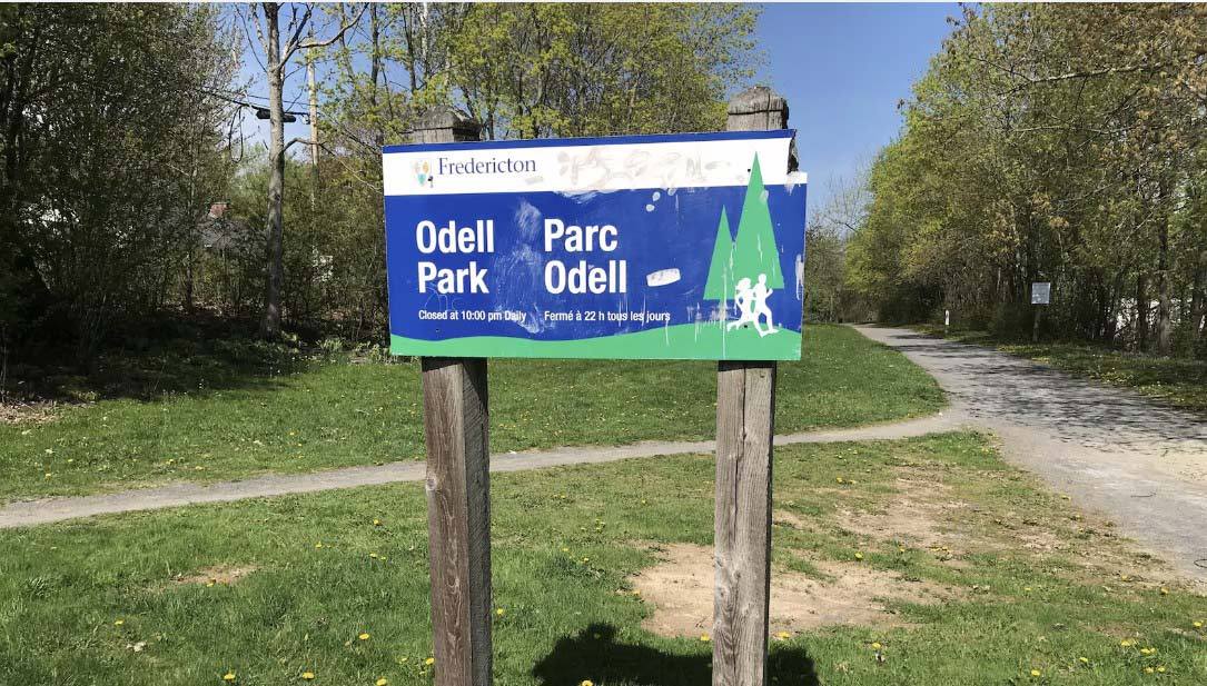 Fredericton警方追缉Odell Park女子遭袭抢案嫌犯